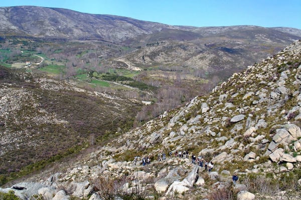 Foto 137 da atividade Galeria de Fotos