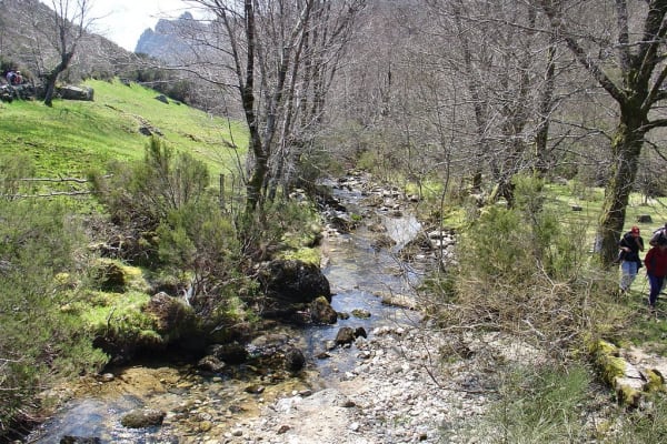 Foto 78 da atividade Galeria de Fotos