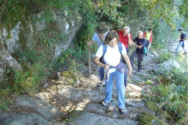 Foto 102 da atividade Galeria de Fotos