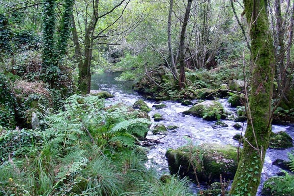 Foto 53 da atividade Galeria de Fotos