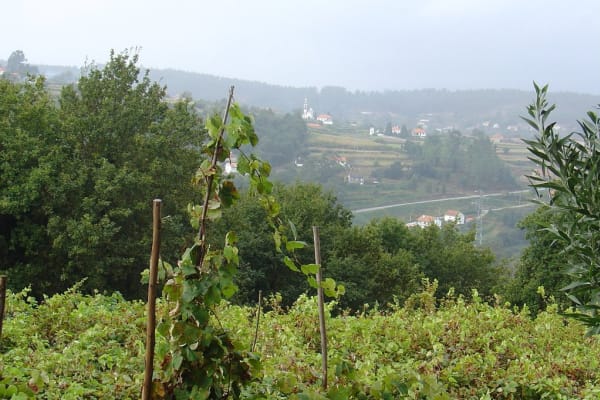 Foto 52 da atividade Galeria de Fotos