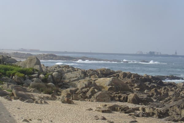 Foto 469 da atividade Galeria de Fotos