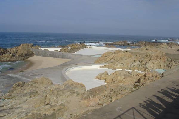 Foto 455 da atividade Galeria de Fotos