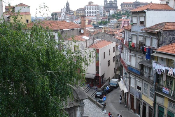 Foto 433 da atividade Galeria de Fotos