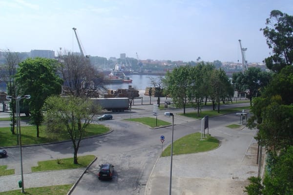 Foto 376 da atividade Galeria de Fotos