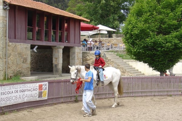 Foto 367 da atividade Galeria de Fotos