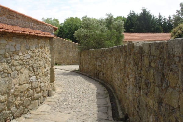 Foto 358 da atividade Galeria de Fotos