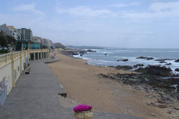 Foto 341 da atividade Galeria de Fotos