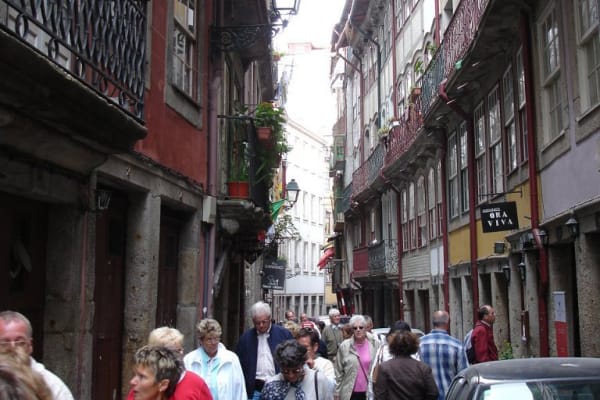 Foto 272 da atividade Galeria de Fotos