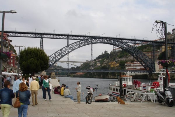 Foto 239 da atividade Galeria de Fotos