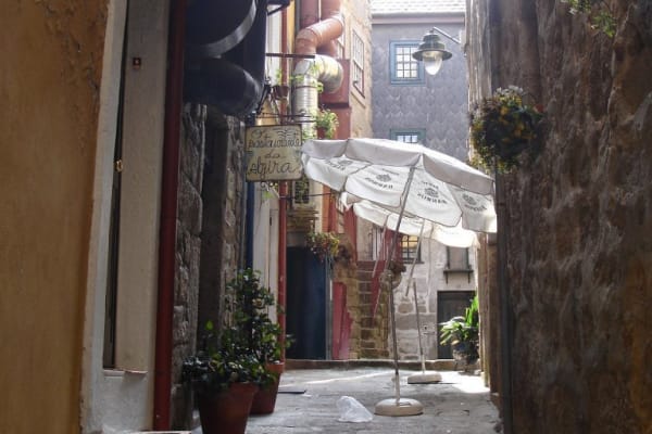 Foto 240 da atividade Galeria de Fotos