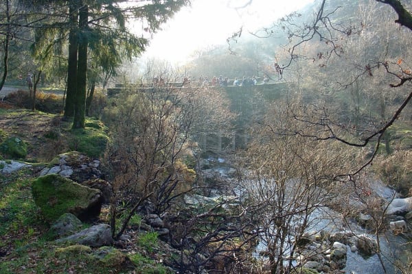 Foto 122 da atividade Galeria de Fotos