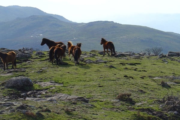 Foto 106 da atividade Galeria de Fotos