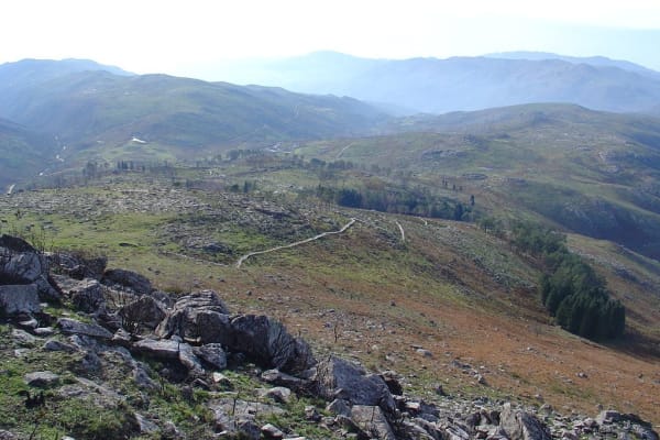 Foto 96 da atividade Galeria de Fotos