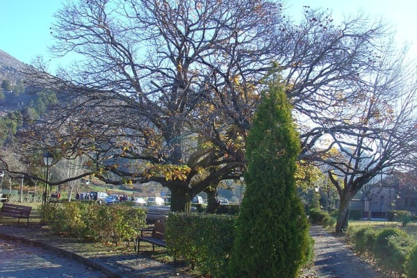 Foto 93 da atividade Galeria de Fotos