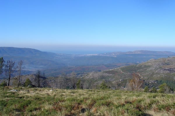 Foto 91 da atividade Galeria de Fotos