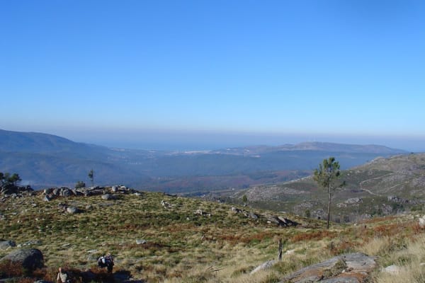 Foto 79 da atividade Galeria de Fotos