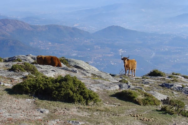 Foto 48 da atividade Galeria de Fotos