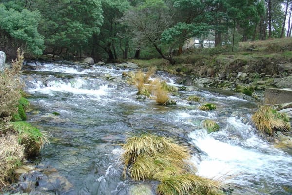 Foto 107 da atividade Galeria de Fotos