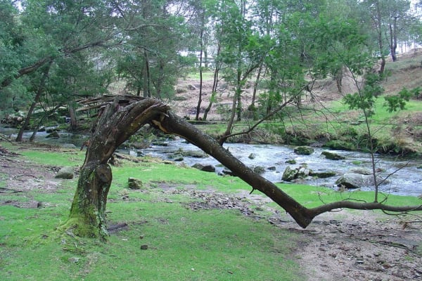 Foto 104 da atividade Galeria de Fotos