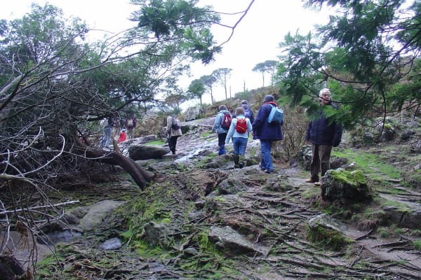 Foto 101 da atividade Galeria de Fotos