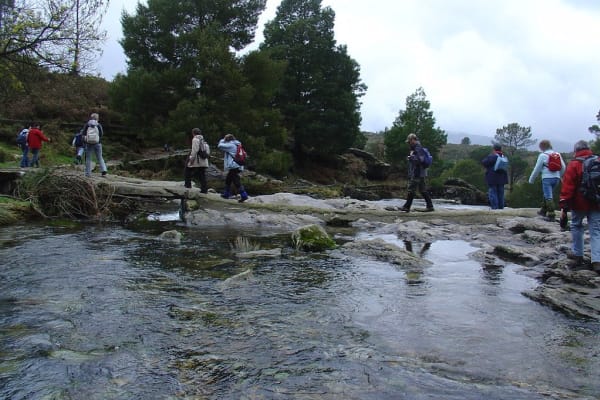 Foto 99 da atividade Galeria de Fotos