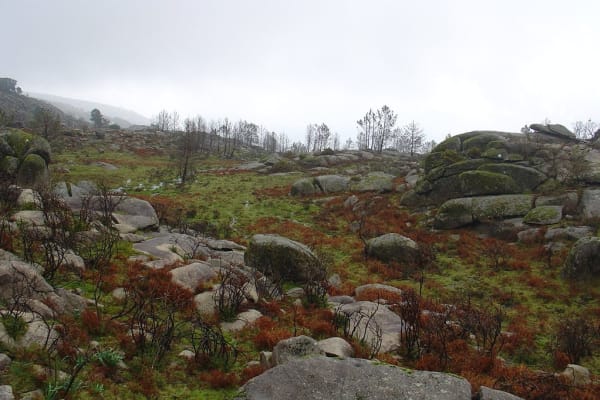 Foto 84 da atividade Galeria de Fotos