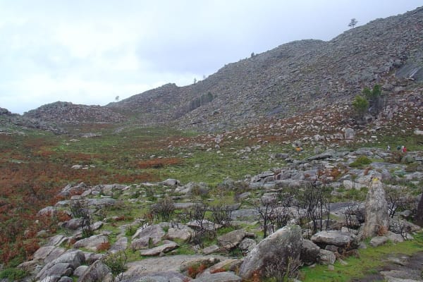 Foto 75 da atividade Galeria de Fotos