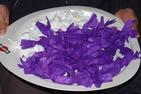 Foto 58 da atividade Galeria de Fotos