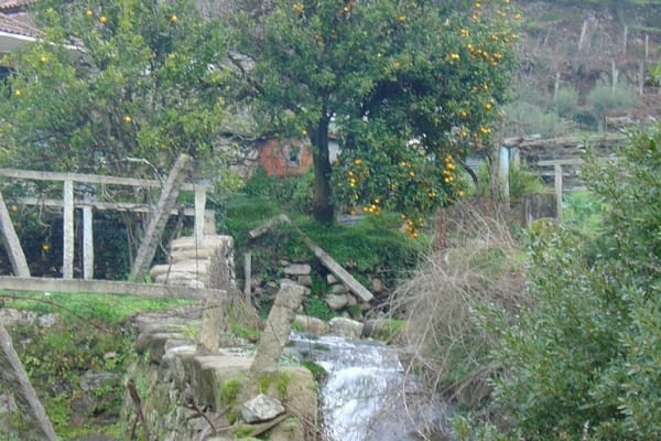 Foto 19 da atividade Galeria de Fotos