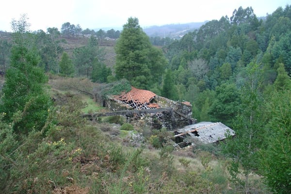 Foto 8 da atividade Galeria de Fotos