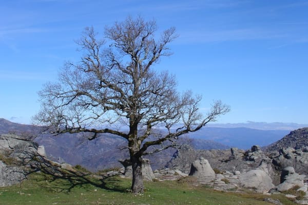 Foto 73 da atividade Galeria de Fotos