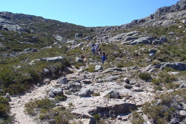 Foto 52 da atividade Galeria de Fotos