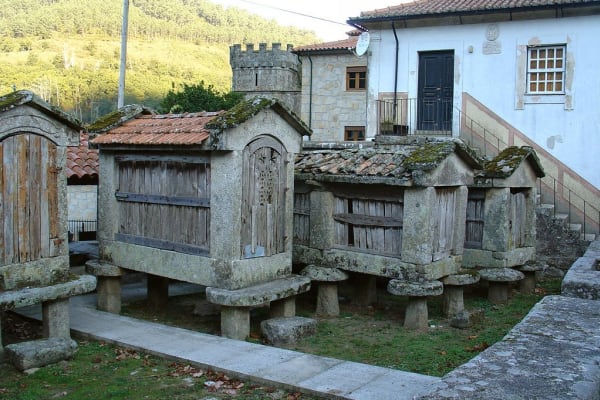 Foto 142 da atividade Galeria de Fotos