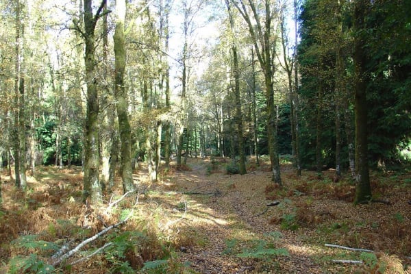 Foto 133 da atividade Galeria de Fotos