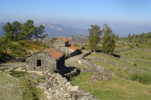 Foto 131 da atividade Galeria de Fotos