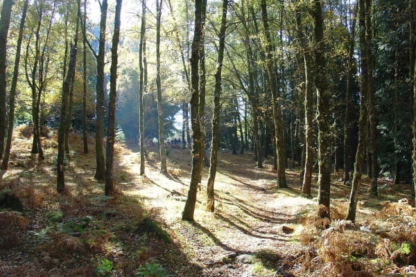 Foto 128 da atividade Galeria de Fotos