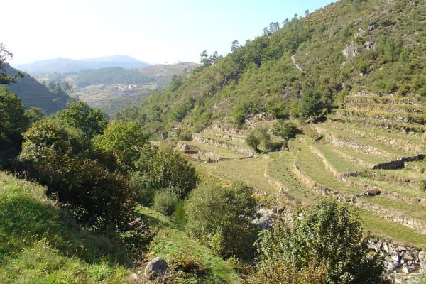 Foto 126 da atividade Galeria de Fotos