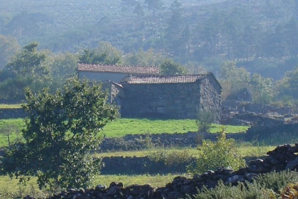 Foto 98 da atividade Galeria de Fotos