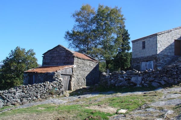 Foto 83 da atividade Galeria de Fotos