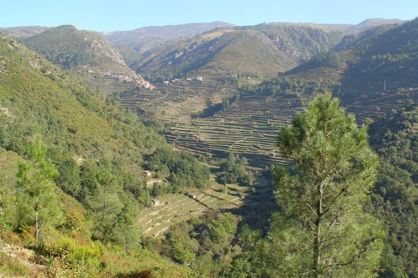 Foto 66 da atividade Galeria de Fotos