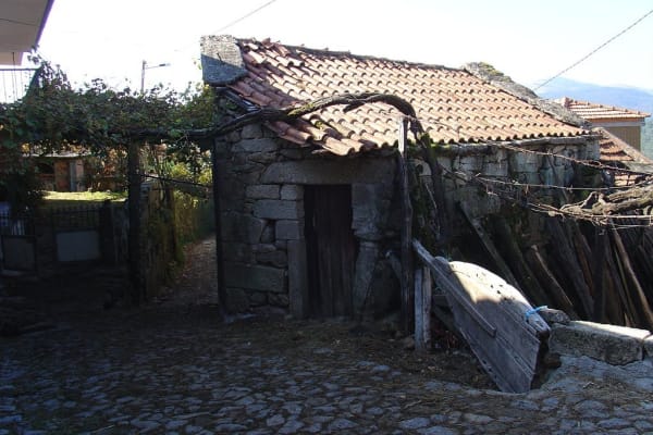 Foto 55 da atividade Galeria de Fotos