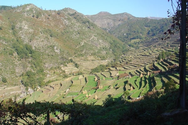 Foto 41 da atividade Galeria de Fotos