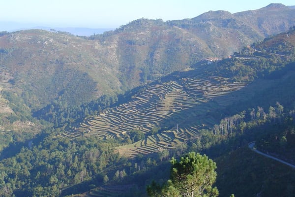 Foto 33 da atividade Galeria de Fotos