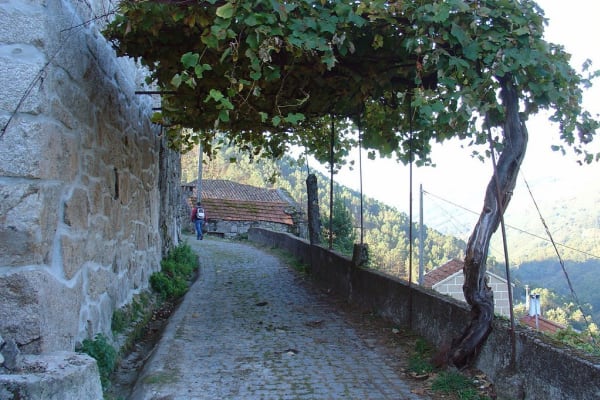 Foto 21 da atividade Galeria de Fotos