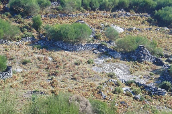 Foto 3 da atividade Galeria de Fotos