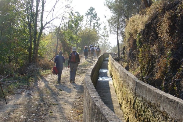 Foto 72 da atividade Galeria de Fotos