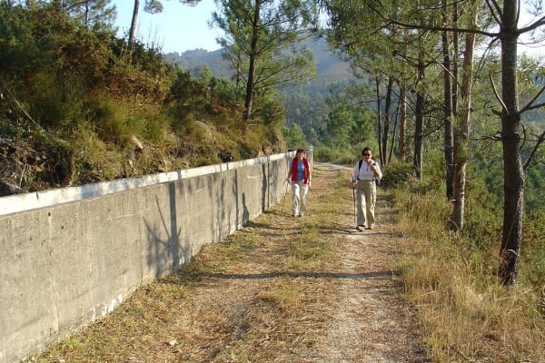 Foto 64 da atividade Galeria de Fotos