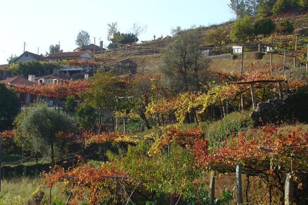 Foto 60 da atividade Galeria de Fotos