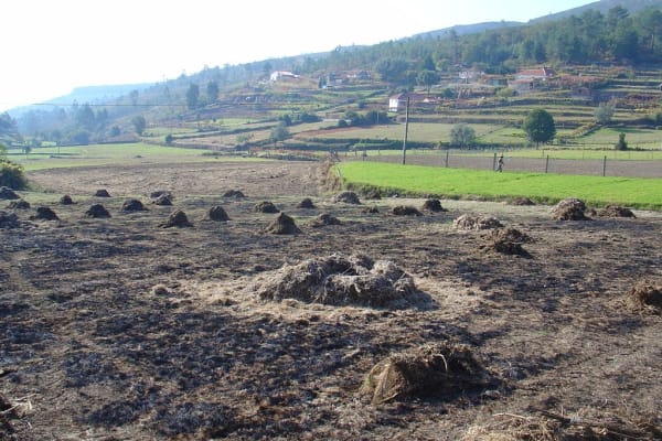 Foto 55 da atividade Galeria de Fotos